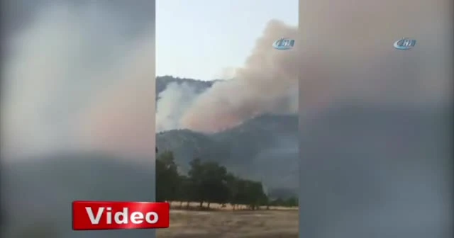 Ankara'da orman yangını!