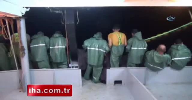 Av yasağı kalktı, balıkçılar bayram etti