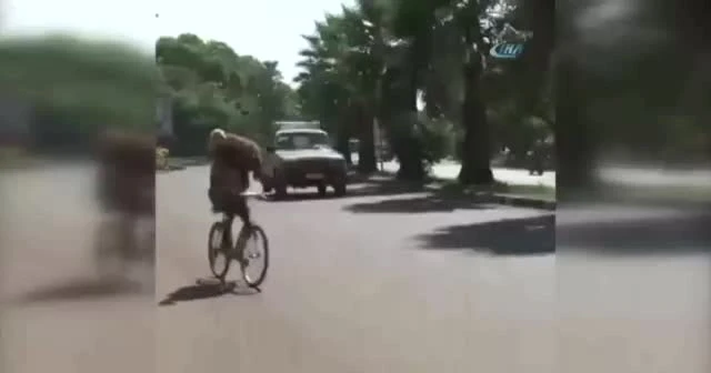 Gören bir daha baktı: Bisikletle 2 kurbanlık taşıdı