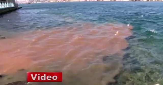 İstanbul Boğazı kana büründü