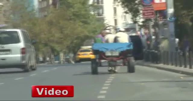 İstanbul sokakları at arabalarına kaldı