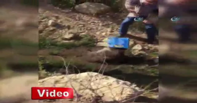 Ayının kafası kutuya sıkıştı, işçiler kurtardı