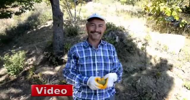 Kestane kebap, toplaması azap