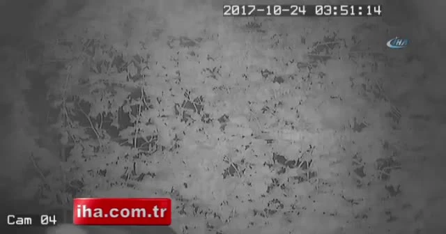Komik hırsız gazetecilere harçlık teklif etti