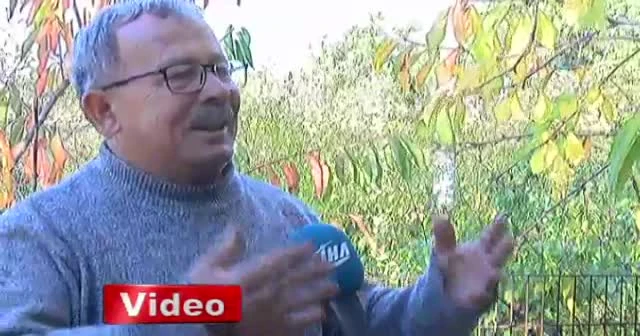 Çocukluğundaki lezzetin peşine düştü, yüzlerce tohum üretti