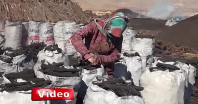 Ekmeklerini mangal kömürü yaparak kazanıyorlar