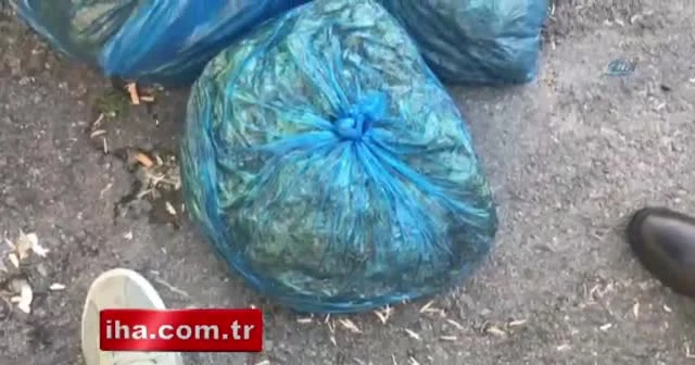 İstanbul'da nefes kesen operasyon
