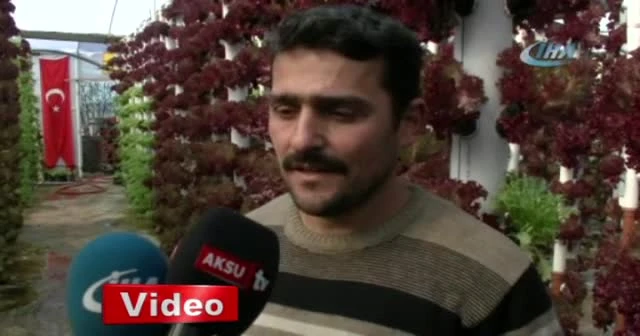Dikey topraksız tarım ile 9 dönem ürün alıyor