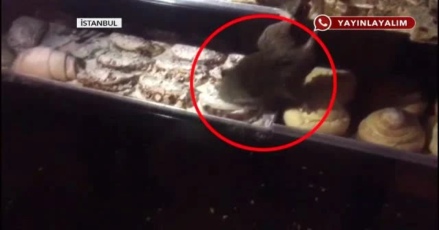 Fare pastaneye girdi