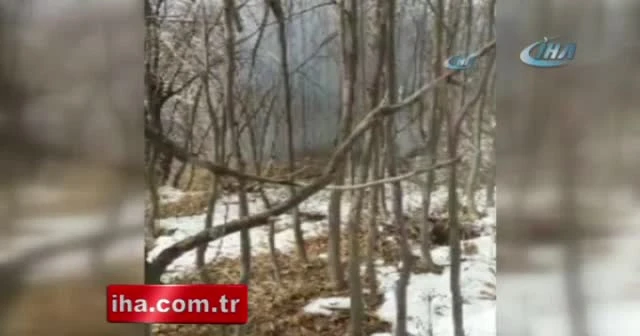 Bitlis’te 1 adet EYP imha edildi