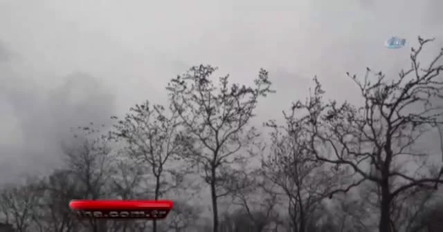 Taksim’de sığırcık kuşlarının dansı büyüledi