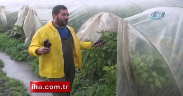 Tarsus'ta seralar sular altında kaldı