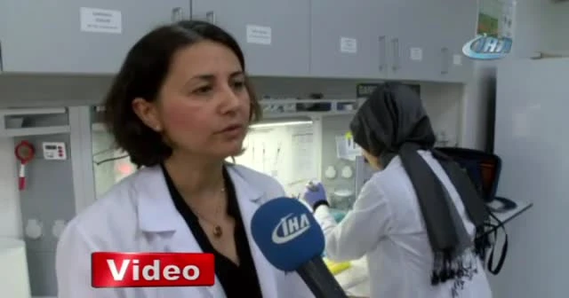 Trakya’da ayçiçeği daha verimli hale geliyor