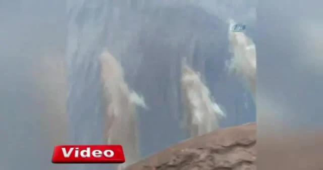 Yunuslar meteoroloji şamandıra kurulumuna eşlik etti