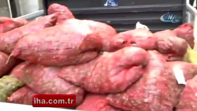 Beyoğlu'nda 2 tonluk midye dolma operasyonu