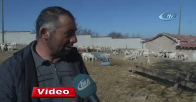 Böyle vicdansızlık görülmedi