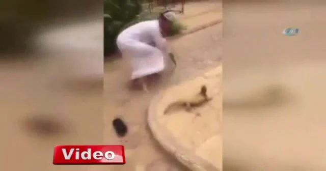 Oyuncak sandı, gerçek çıkınca hopladı
