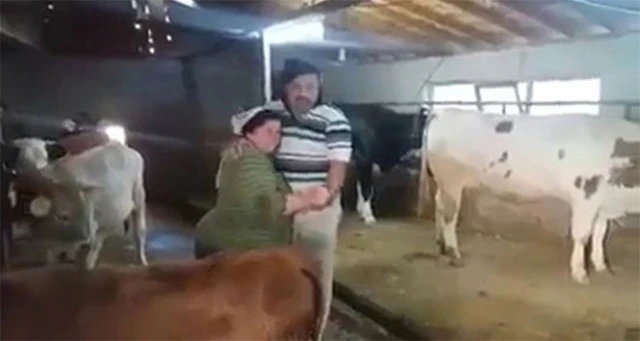 Ahırda şarkı söyleyip, dans eden çift sosyal medyada fenomen oldu