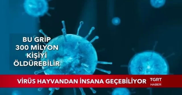 Bu grip 300 milyon kişiyi öldürebilir