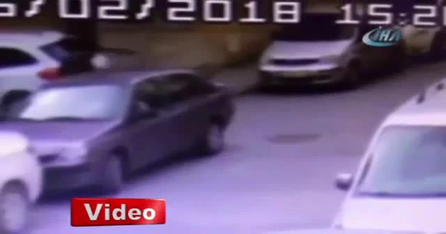 Hamile kediyi yere vurup tekmeledi