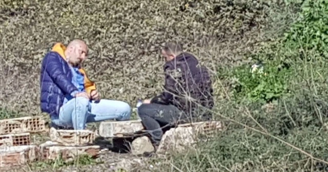 Tem Otoyolu kenarında yürek sızlatan bonzai krizi