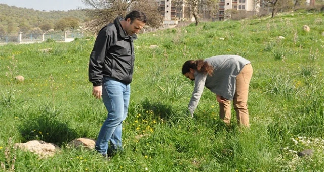 Üniversite kampüsündeki kazılar tarihe ışık tutacak