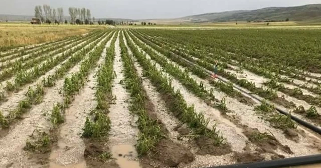 Afyonkarahisar’da ev ve tarlaları su bastı