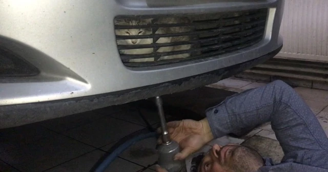 Araçta sıkışan kedi kurtarıldı