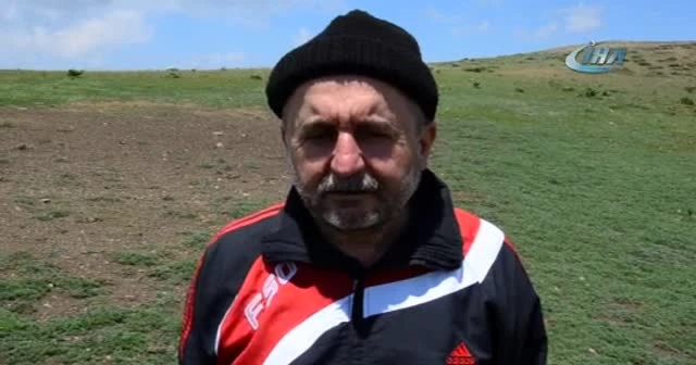 Çekirge sürüleri tarım arazilerini işgal etti
