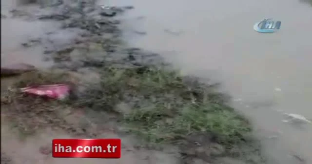 Rohingyalı Müslümanlar sel ile mücadele ediyor