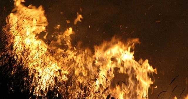 Alev alev yandı: 4 saatte söndürüldü