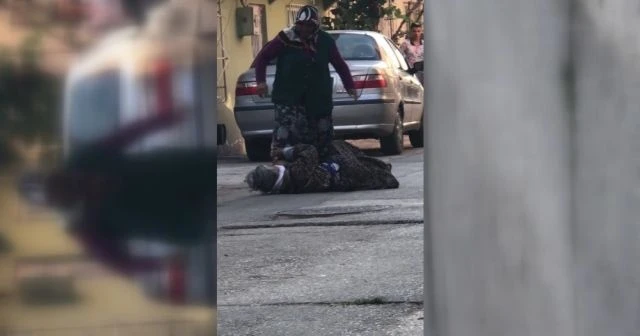 Alzheimer hastası kaynanasını sokak ortasında darp etti