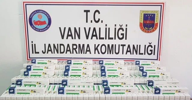 Van’da 115 göçmen yakalandı