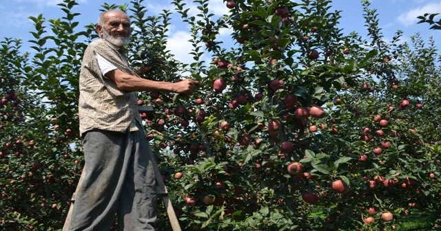 75 yaşındaki dede gençlere taş çıkartıyor