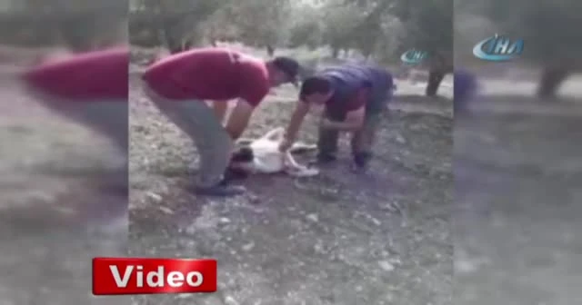Ağzını ve ayaklarını bağlayarak ölüme terk ettiler