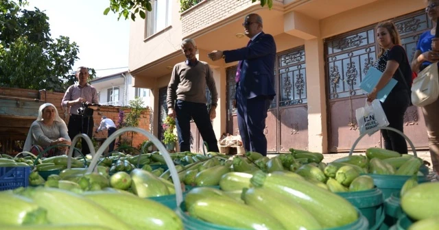 İznik’te üretilen kabaklar yurt dışına ihraç ediliyor