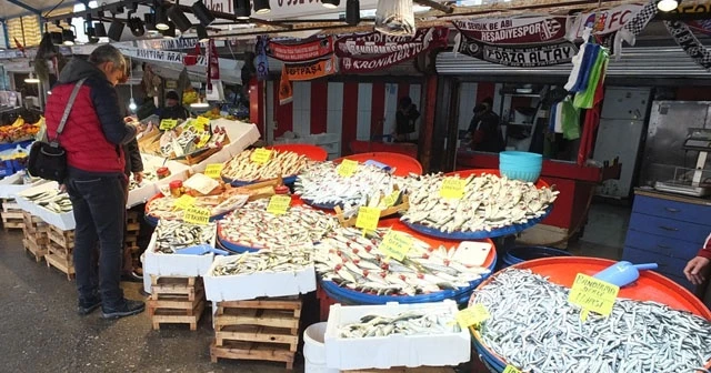 Marmara’da hamsi bereketi