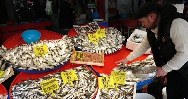 Palamut ve çinekop rekor kırdı
