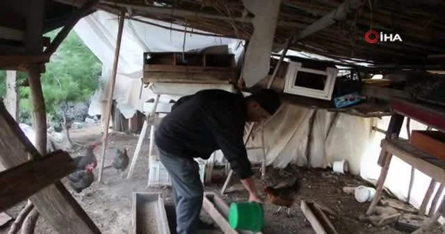 Son maaşı ile çiftlik kurdu, koli koli yumurta topluyor
