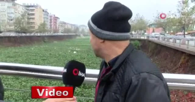 Su canavarları, Asi Nehri'ni kapladı