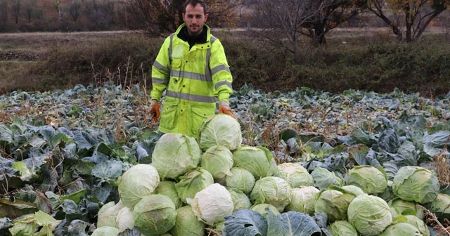 Üç yıldır fiyatları hiç artmadı