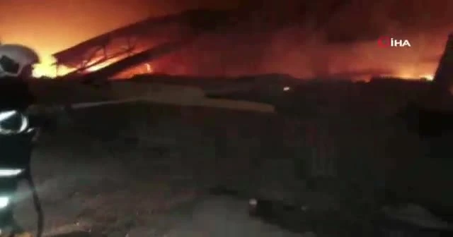Adana’da narenciye paketleme tesisinde yangın