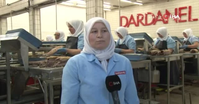 Dardanel, Çanakkale fabrikasında istihdam önceliğini kadınlara tanıyor