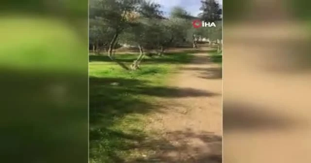 İsrail polisi Mescid-i Aksa’nın kapılarını yeniden açtı