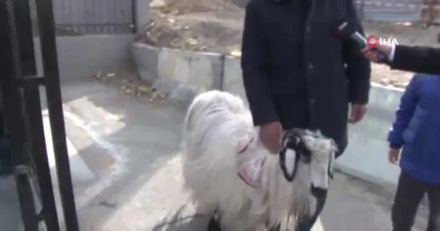 Oy vermeye keçisiyle geldi