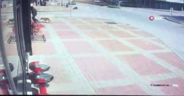 Kasap önünde kemik bekleyen köpeğe, parke taşıyla saldırdı