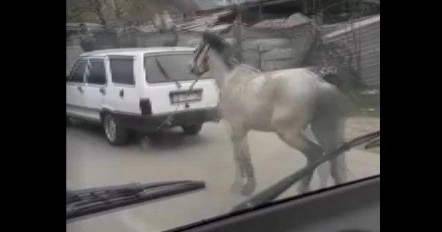Vicdansız sürücü atını aracının arkasına bağlayıp ana yolda koşturdu