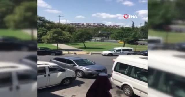 Bebek’te yaya geçidini kullanan köpek kamerada
