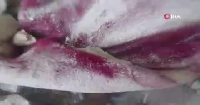 Kardeşleri için yardım isteyen 2 çocuğun görüntüsü yürek dağladı