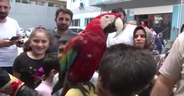 Papağanıyla oy vermeye gelen vatandaş ilgi odağı oldu